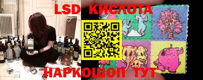 тгк Можга